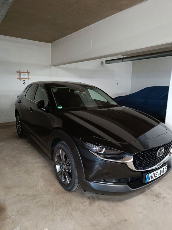 CX-30