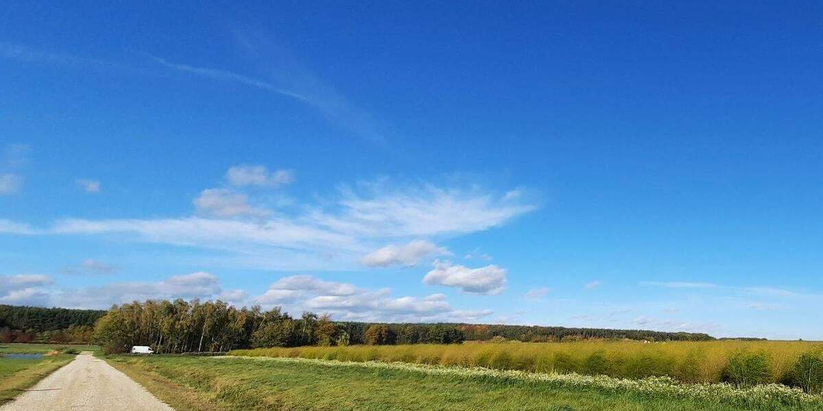 Doppelhaushälfte Oberreichenbach - 6 Zimmer, 196 m&sup2;, 2.490&euro; | Angebot:25665850