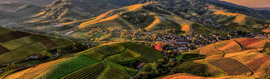 Erlebnisfelsen Pottenstein