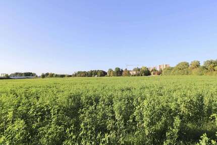 Grundstück zu verkaufen in Erlangen 150.000 € 4960.09 m² zimmer