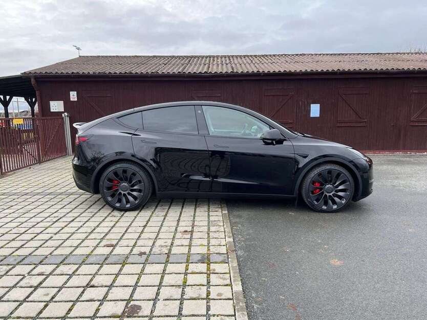 Model Y