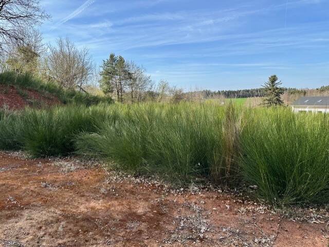 Grundstück Burgthann Grub - 134.500&euro; | Angebot:25771714