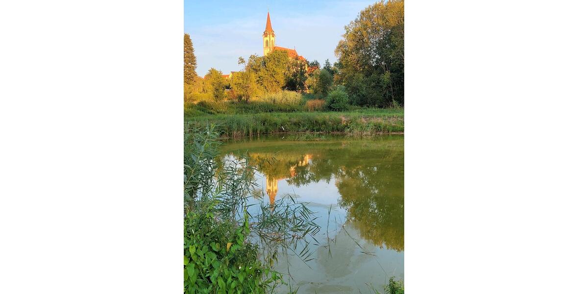 Doppelhaushälfte Lauf an der Pegnitz - 4 Zimmer, 120 m&sup2;, 2.200&euro; | Angebot:24820192