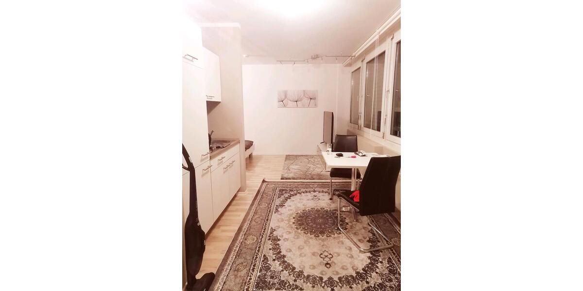 1 Zimmer Wohnung möbliert 1 zimmer