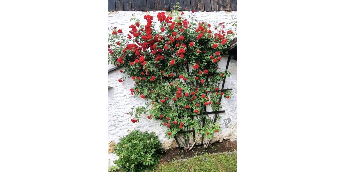 Charmantes Zweifamilien-Bauernhaus mit Scheune, Innenhof und Garten 9 zimmer