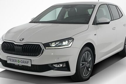 Skoda Fabia 9.900 km 19.960 € Nürnberg 90441