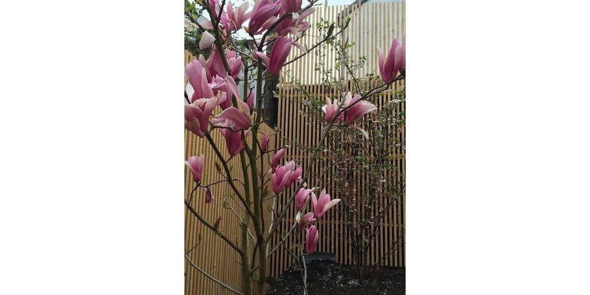 Terrassenwohnung Fürth Innenstadt - 2 Zimmer, 42 m&sup2;, 665&euro; | Angebot:25702332