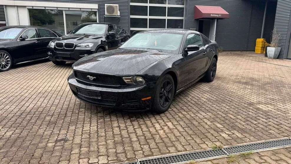 Mustang