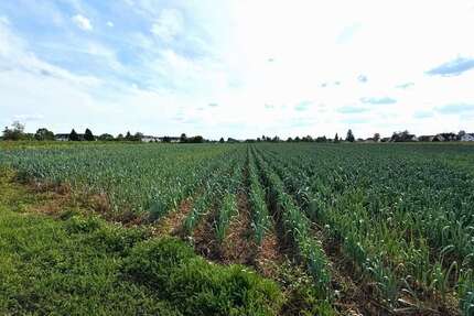 Grundstück in Fürth 149.000 € 4130 m² zimmer