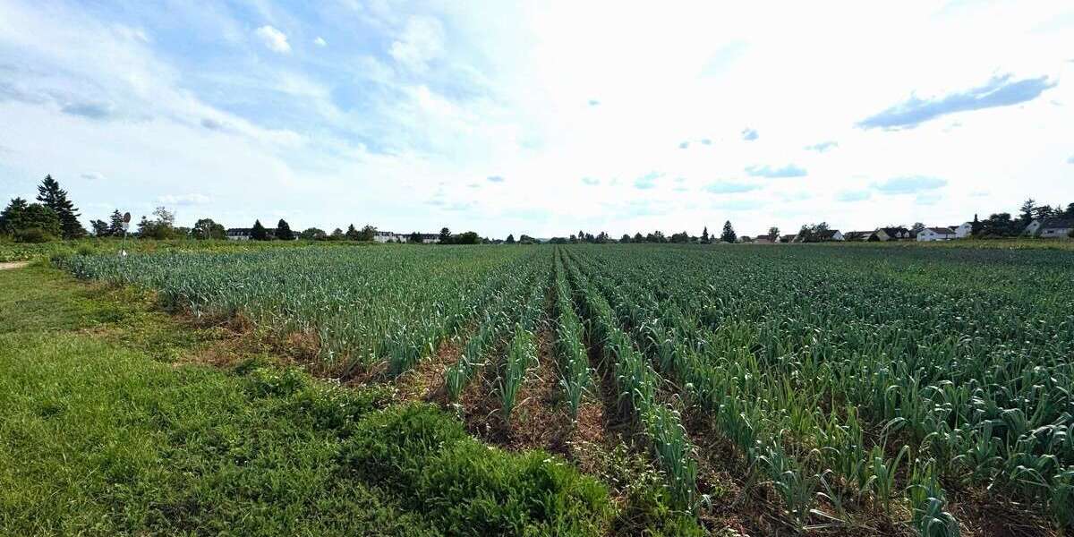 Grundstück in Fürth 149.000 € 4130 m² zimmer