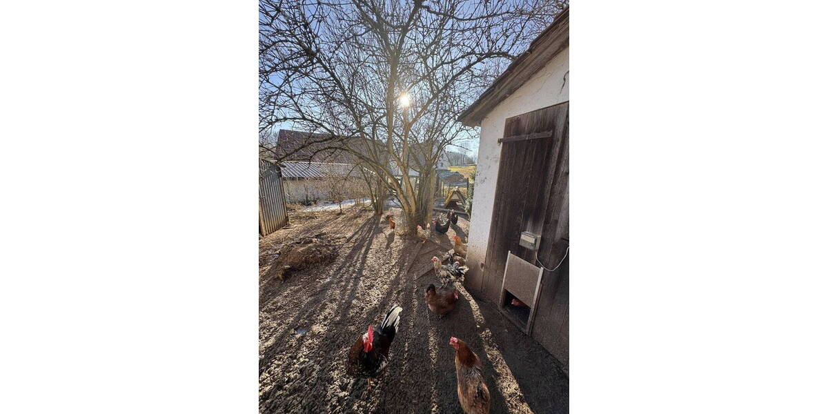 Bauernhaus, Landhaus Altdorf b. Nürnberg Wappeltshofen - 5 Zimmer, 137 m&sup2;, 399.000&euro; | Angebot:25957588