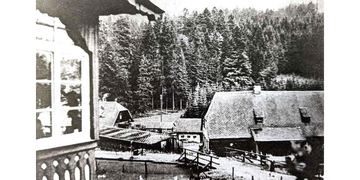 Wohnoase im bayerischen Kanada für Sie oder als Ferienwohnungen 10 zimmer