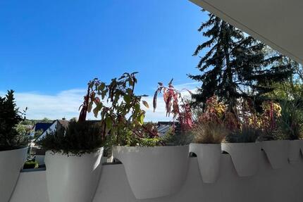 Wohnen am Waldrand – gepflegt, modernisiert und sof. bezugsfertig 3 zimmer