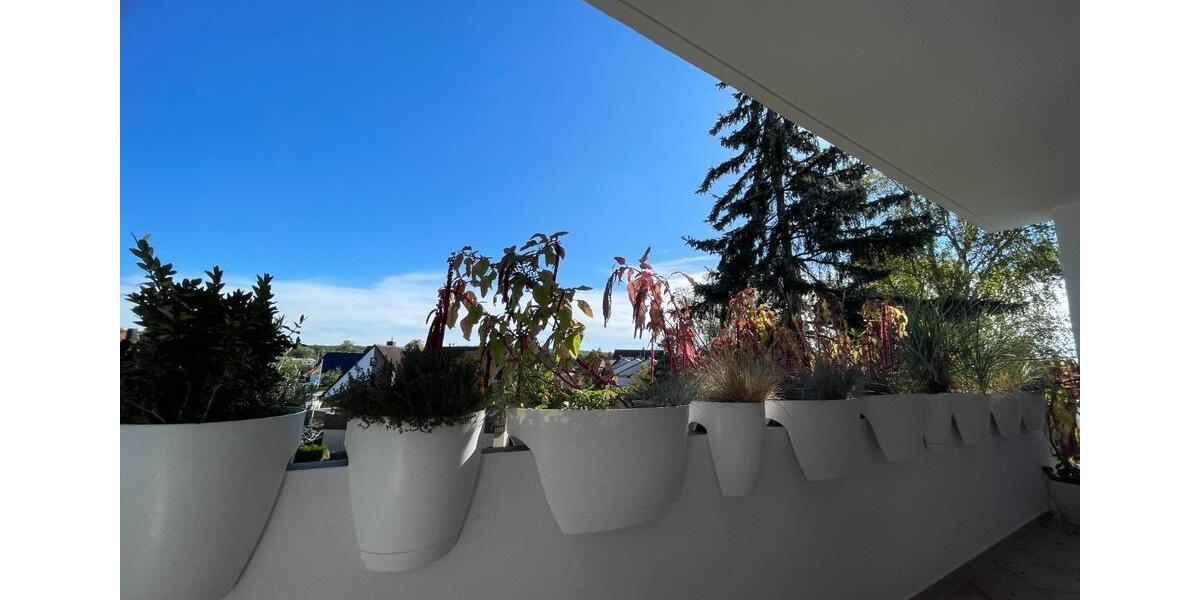 Wohnen am Waldrand – gepflegt, modernisiert und sof. bezugsfertig 3 zimmer