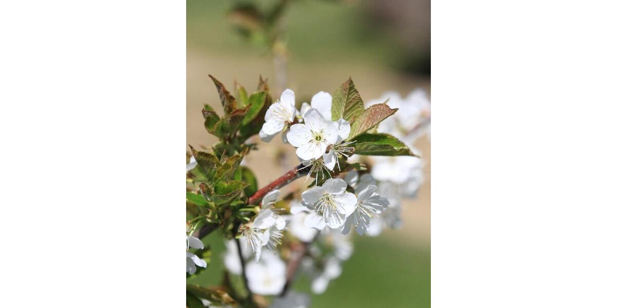 Etagenwohnung Heroldsberg - 2 Zimmer, 68 m&sup2;, 800&euro; | Angebot:25655340