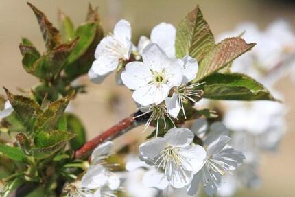 Wohnung Heroldsberg - 2 Zimmer, 68 m&sup2;, 800&euro; | Angebot:25655340