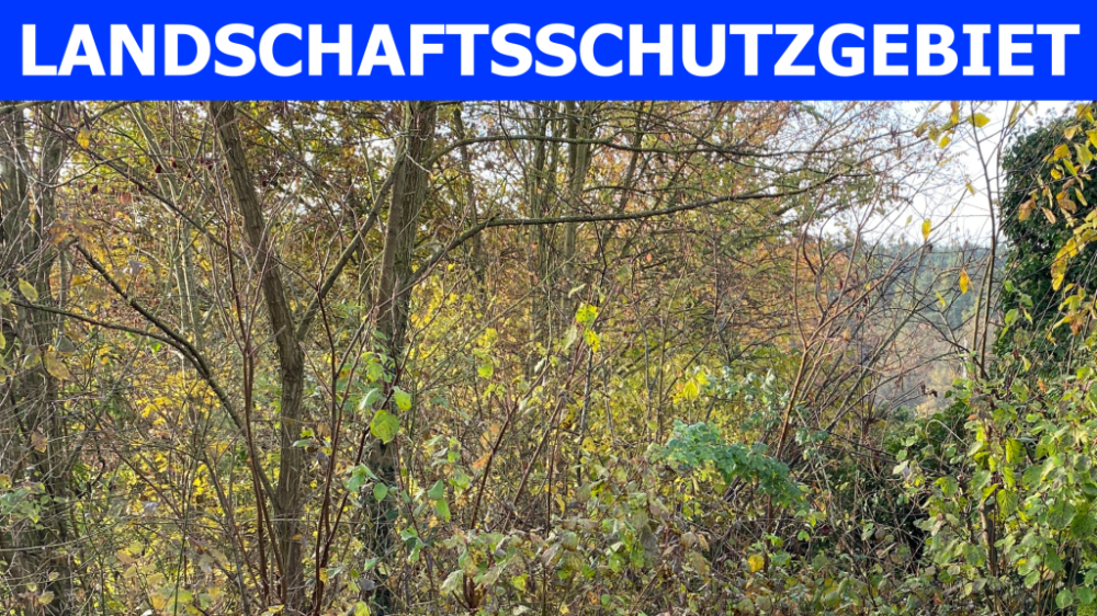 Grundstück Fürth Atzenhof - 232.500&euro; | Angebot:24709741