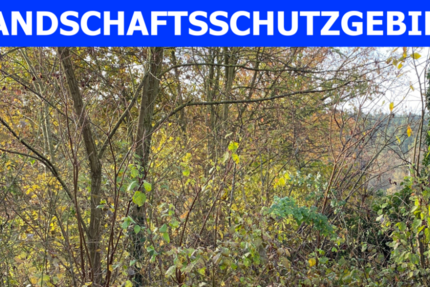 Grundstück Fürth Atzenhof - 90.000&euro; | Angebot:24709741