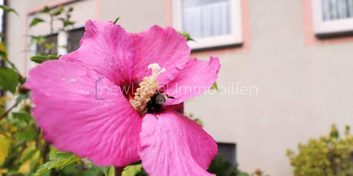 Etagenwohnung Stein - 2 Zimmer, 73 m&sup2;, 240.000&euro; | Angebot:25734298