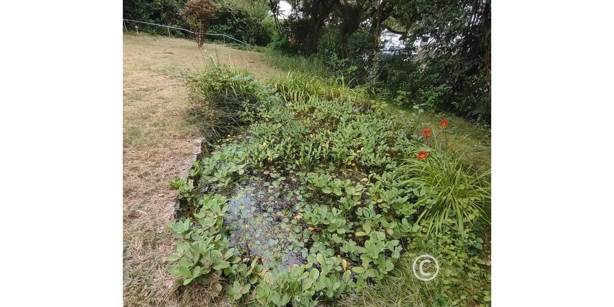 Einfamilienhaus Rückersdorf - 4 Zimmer, 197 m&sup2;, 1.145.000&euro; | Angebot:27175707