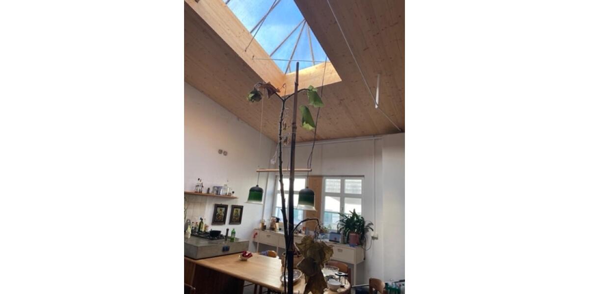 Produktions-Industriehalle zu vermieten: 250 qm zimmer