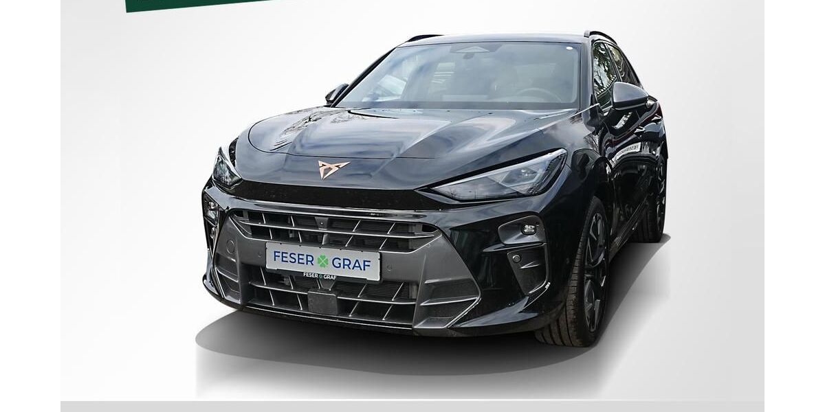 Cupra Terramar 8.850 km 41.840 &euro; Erlangen 91056