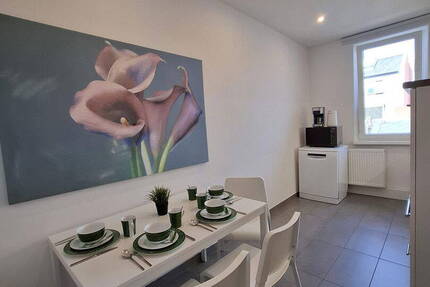 Löffelfertiges möbliertes 2-Zi.-Apartments zentrumsnah am Fürther Stadtpark 2 zimmer