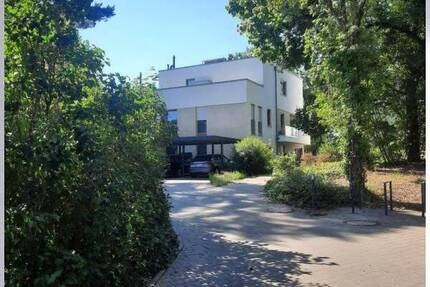 moderne, barrierefreie 3 Zimmer-Wohnung im EG mit Terrasse auf einem ca. 4.550 m² großem Burgberg-Park-Grundstück mit... 3 zimmer