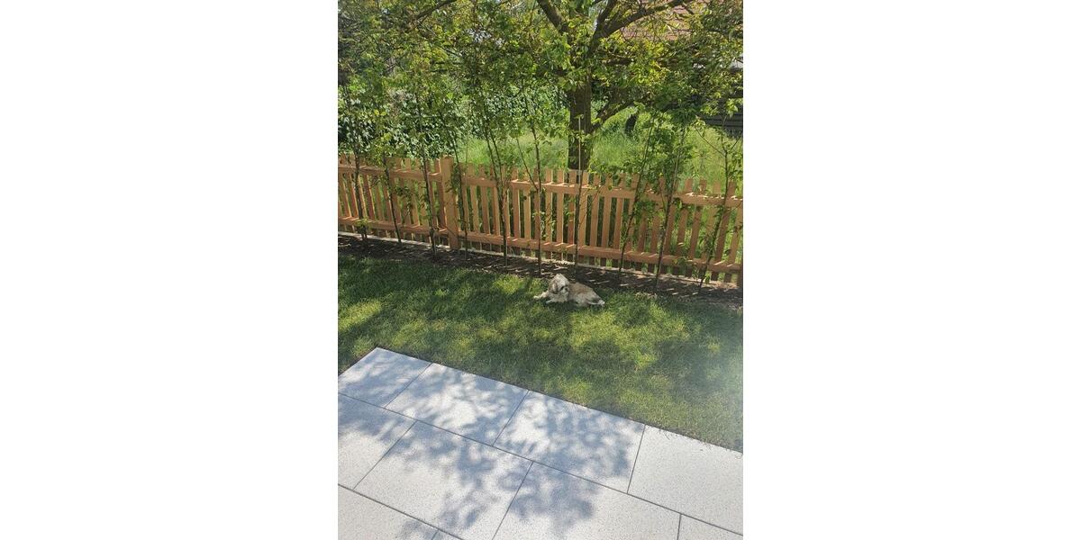 Erdgeschoßwohnung Nürnberg Almoshof - 3 Zimmer, 101 m&sup2;, 650.000&euro; | Angebot:24651102