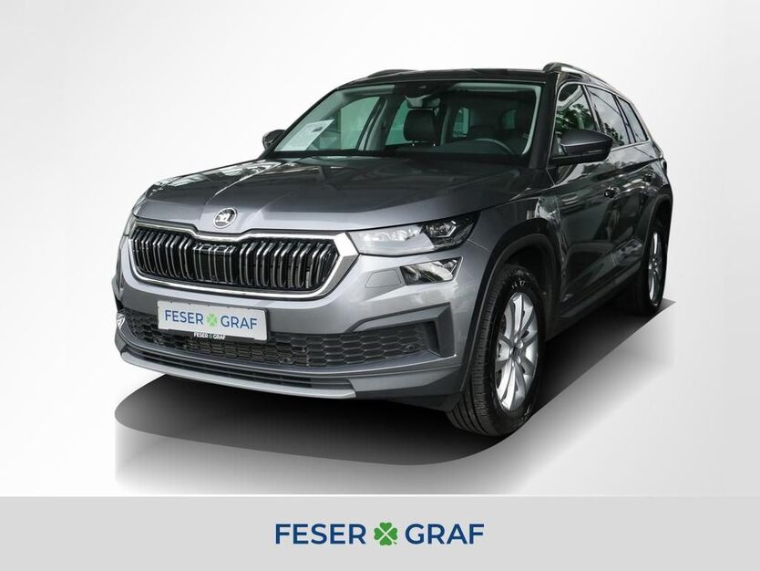Skoda Kodiaq 9.900 km 44.370 € Fürth 90763