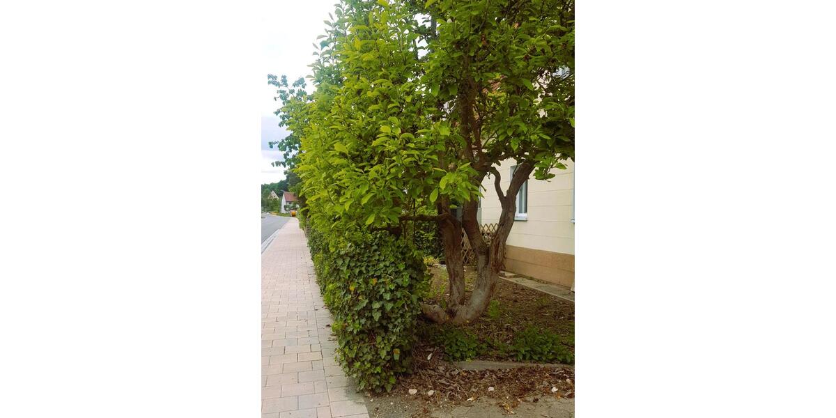 Einfamilienhaus Windsbach - 5 Zimmer, 91 m&sup2;, 369.000&euro; | Angebot:26796811