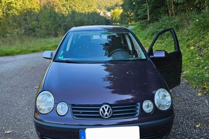 VW Polo 240.000 km 700 &euro; Hersbruck 91217
