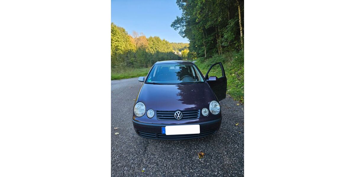 VW Polo 240.000 km 700 &euro; Hersbruck 91217