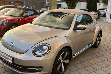 VW Beetle