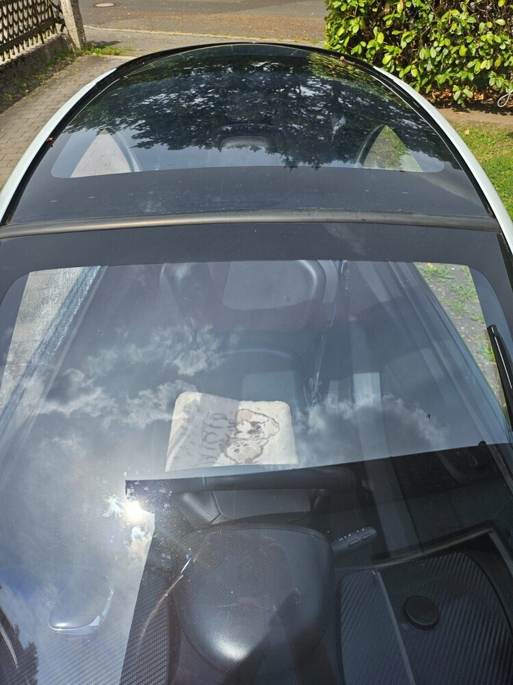 Twizy 80