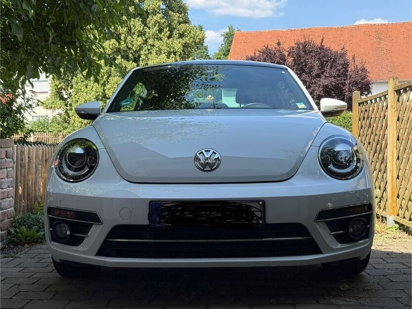 Beetle
