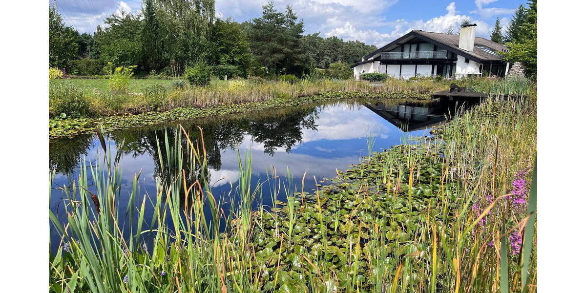 Mehrfamilienhaus, Wohnhaus Kleinseebach Kleinseebach - 1 Zimmer, 591 m&sup2;, 450.000&euro; | Angebot:26384260