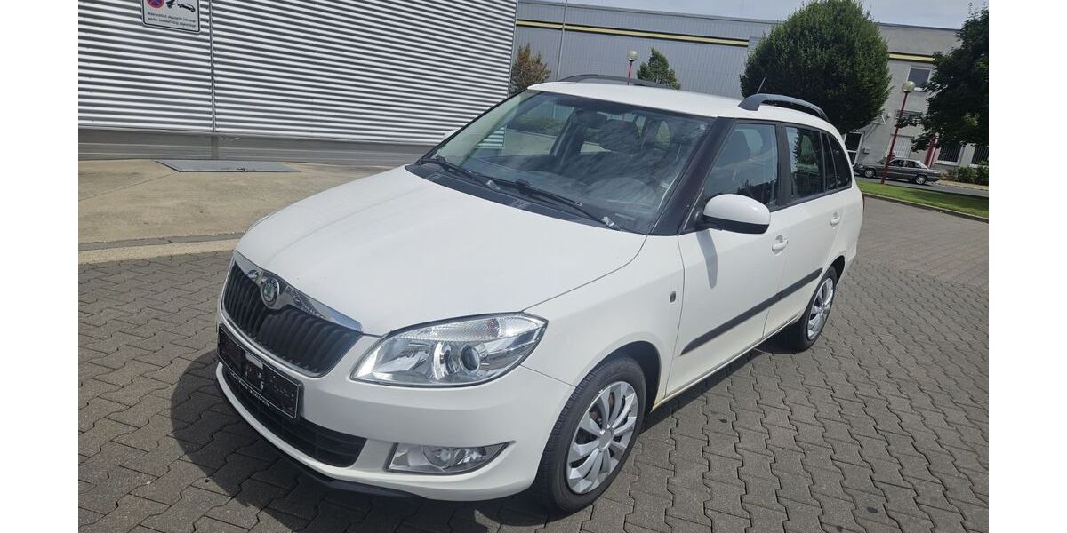 Skoda Fabia 217.289 km 1.490 &euro; Nürnberg 90441