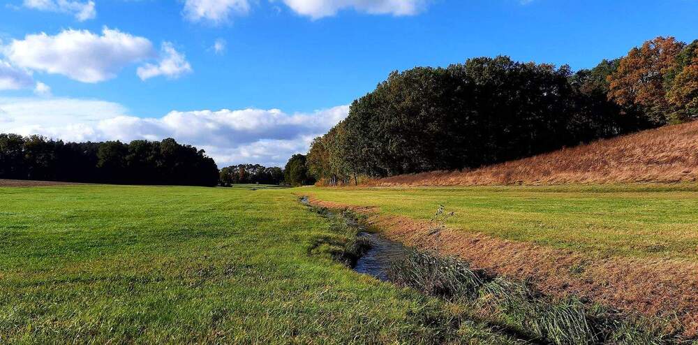 Doppelhaushälfte Oberreichenbach - 6 Zimmer, 196 m&sup2;, 2.490&euro; | Angebot:25665850