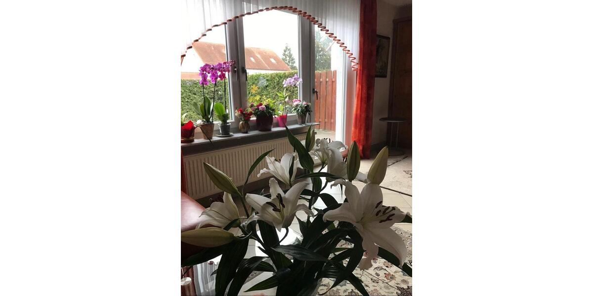 Reihenhaus Nürnberg Gebersdorf - 6.5 Zimmer, 146 m&sup2;, 620.000&euro; | Angebot:26874933