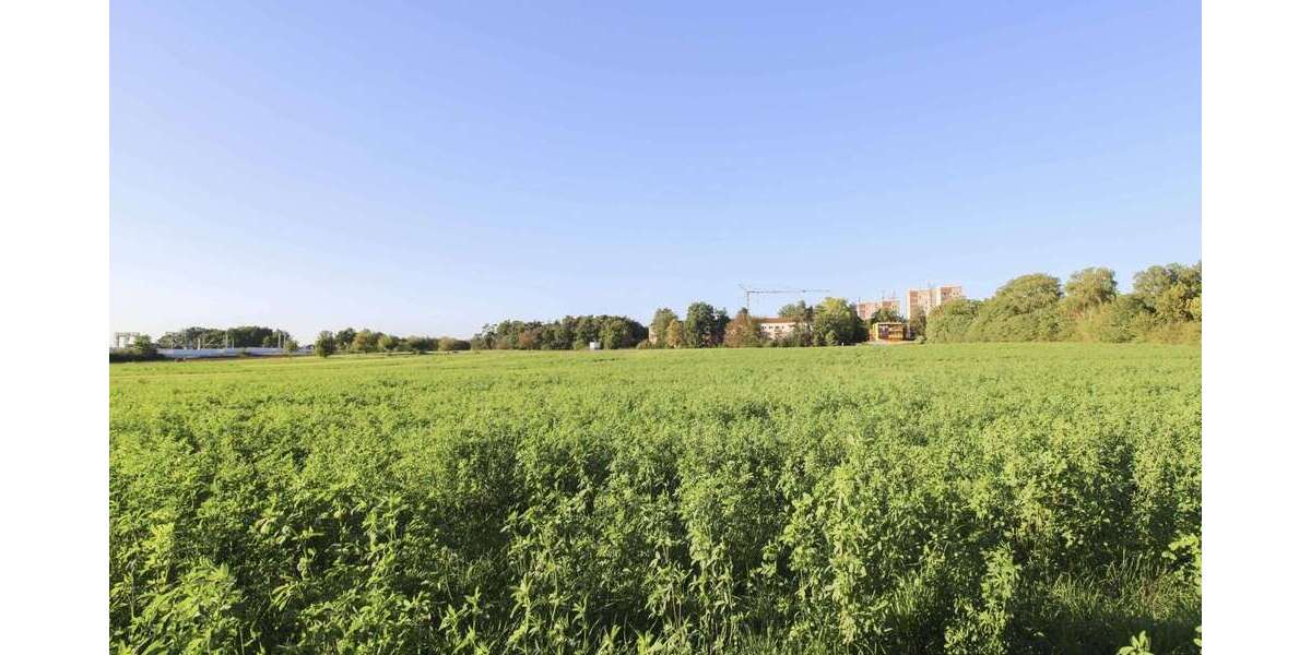 Grundstück zu verkaufen in Erlangen 150.000 € 4960.2 m² zimmer