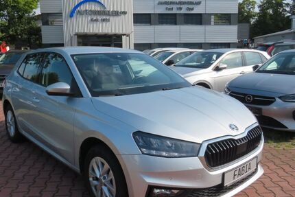 Skoda Fabia 4.890 km 21.550 &euro; Nürnberg 90431