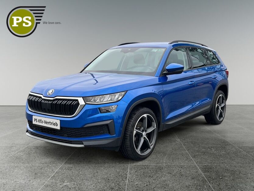 Skoda Kodiaq 63.300 km 29.980 € Nürnberg 90480