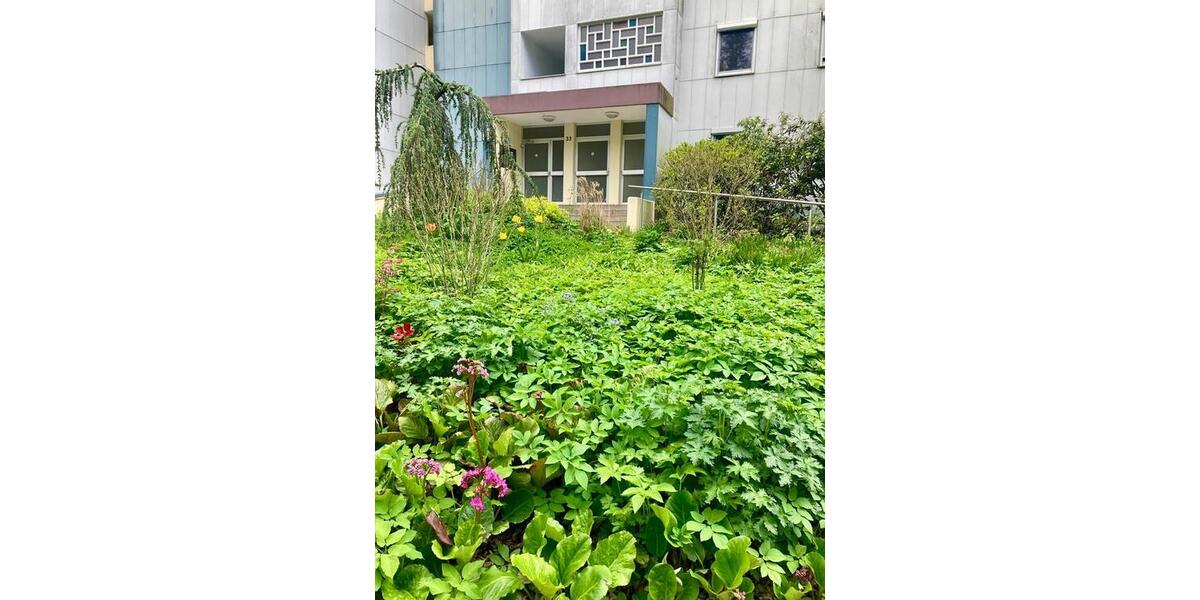 Etagenwohnung Erlangen Alterlangen - 1 Zimmer, 24 m&sup2;, 360&euro; | Angebot:27618359