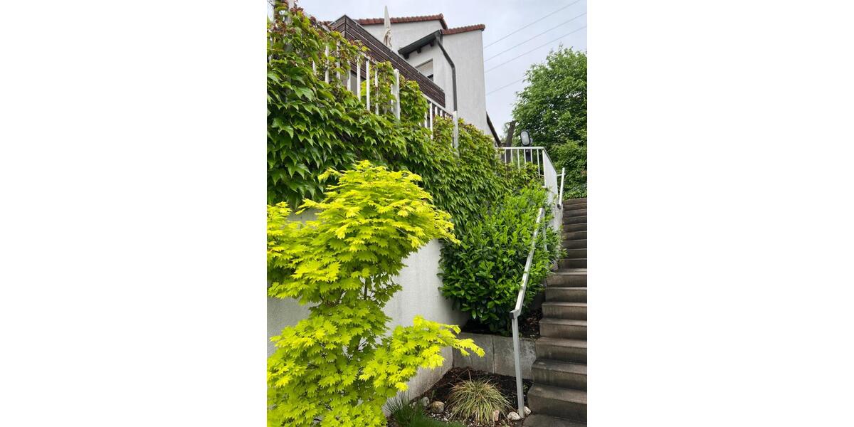 Gepflegte DHH am Südhang in Nbg.-Brunn (1994) 5 zimmer