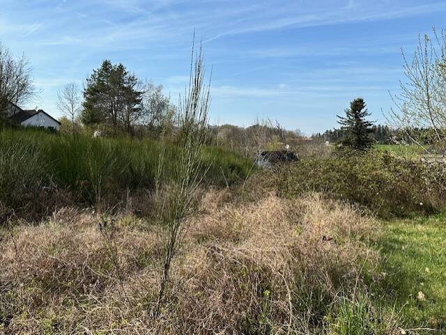 Grundstück Burgthann Grub - 134.500&euro; | Angebot:25771714