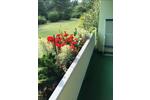 Erdgeschoßwohnung Nürnberg Schnepfenreuth - 3 Zimmer, 93 m&sup2;, 369.000&euro; | Angebot:26187446