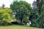 Mehrfamilienhaus, Wohnhaus Büchenbach - 670.000&euro; | Angebot:25674298