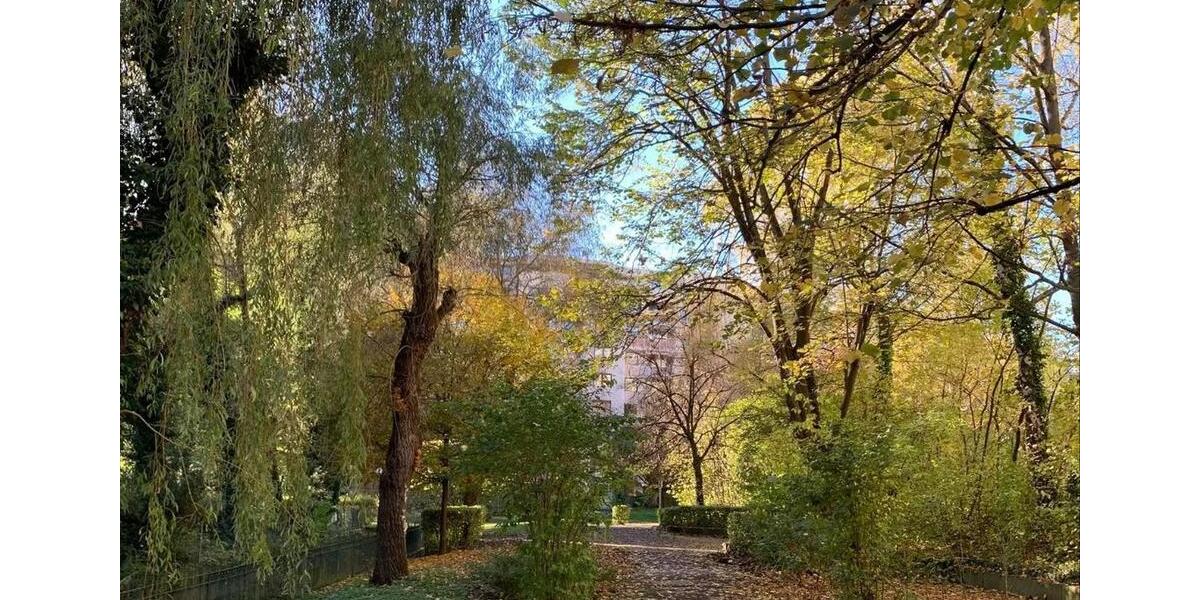 Helle 2-Zimmer-Stadtwohnung 2 zimmer