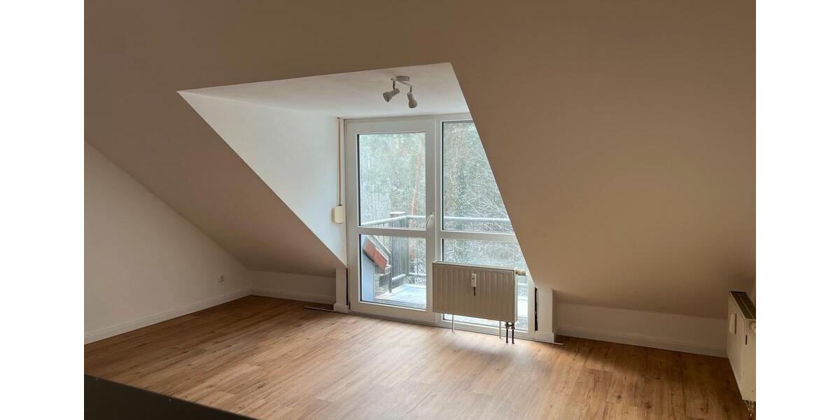 Dachgeschoßwohnung Schwanstetten - 1 Zimmer, 27 m&sup2;, 650&euro; | Angebot:24507587